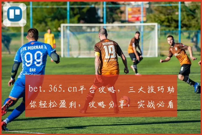 bet.365.cn平台攻略，三大技巧助你轻松盈利，攻略分享，实战必看，不容错过