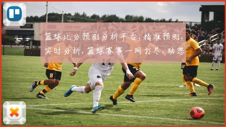 篮球比分预测分析平台,精准预测,实时分析,篮球赛事一网打尽,助您洞察赛果